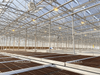 Glass Greenhouse