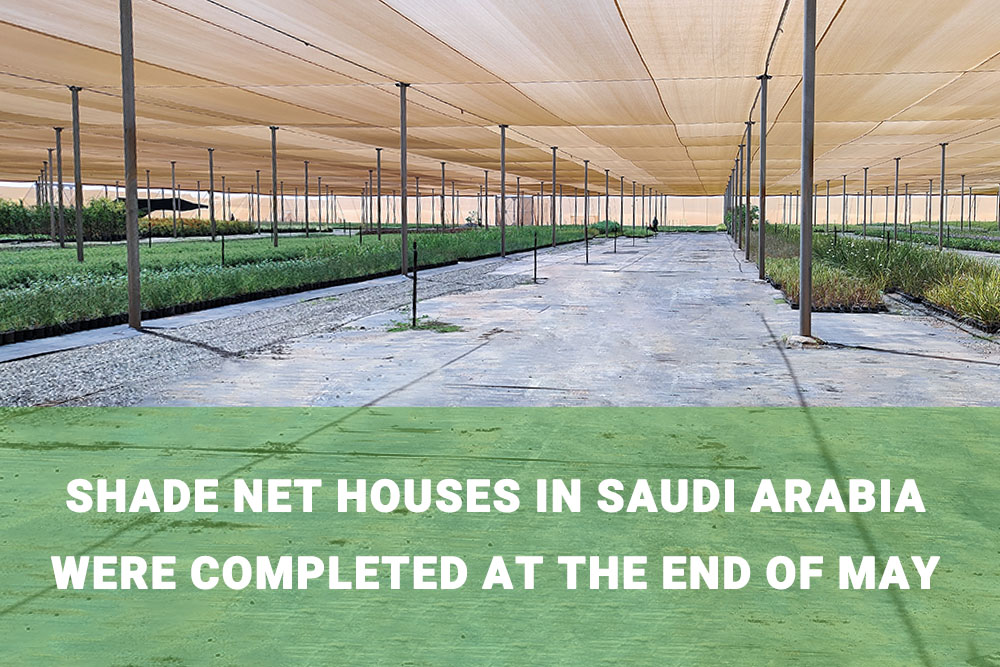 shade net house (9)