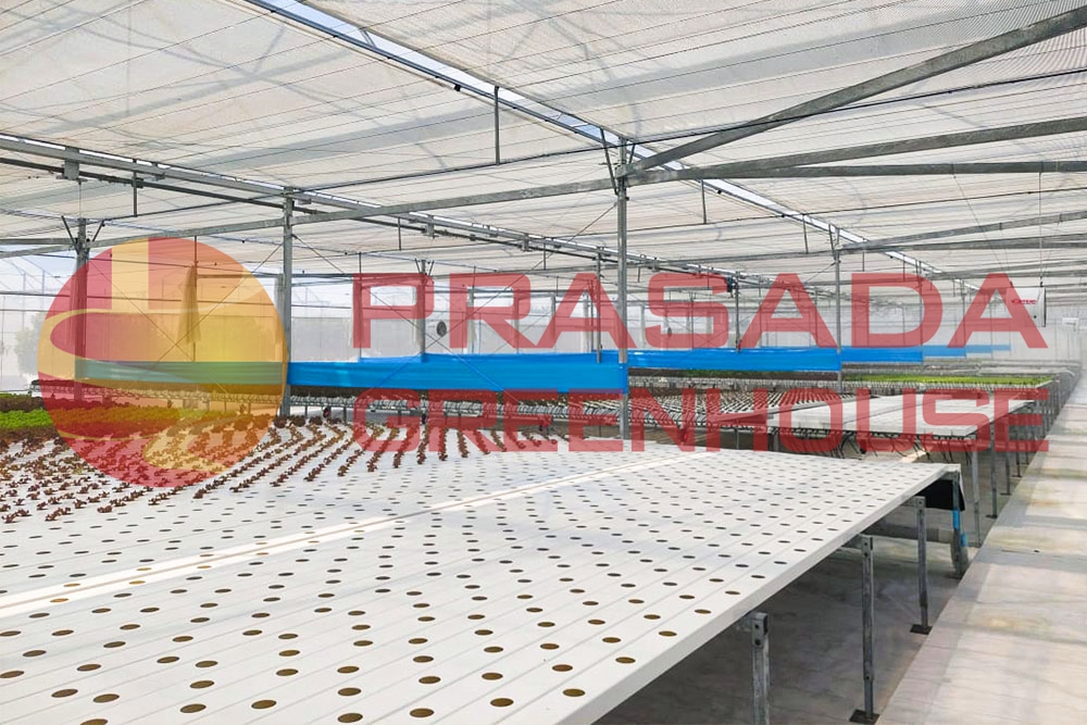 a099a13c-2c35-442b-a3ca-7c258c5352f2