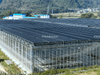 Glass Greenhouse