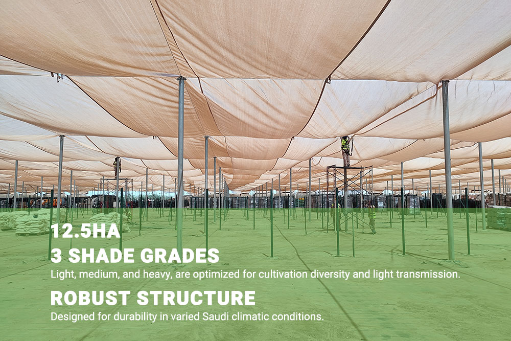 shade net house (1)
