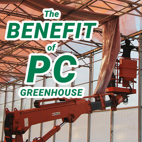 日本PC (1) - 副本.jpg