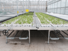 Ebb And Flow Bench System