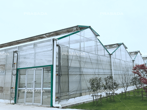 A Roof Polycarbonate Sheet Greenhouse 