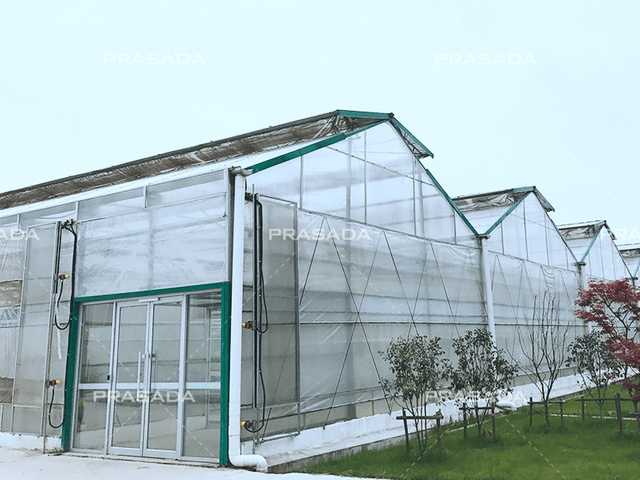 A Roof Polycarbonate Sheet Greenhouse 
