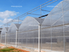 Multi-span Plastic Greenhouse