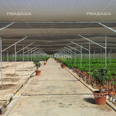 What Is A Shade House?