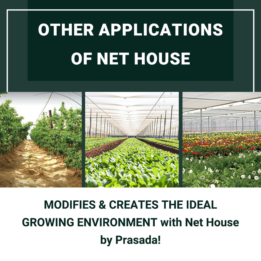 shade net house (7)