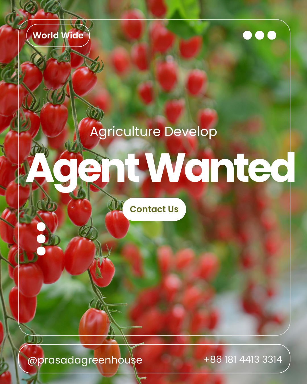 Prasada Greenhouse Agent Wanted