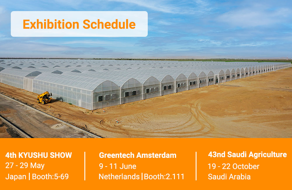 Exhibition Schedule