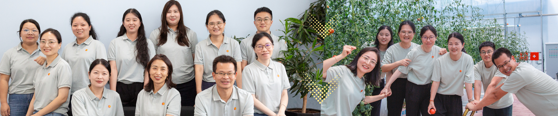 Prasada Greenhouse Team