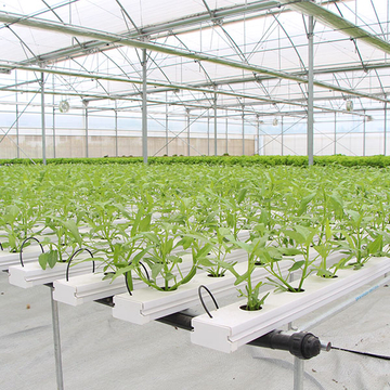 中国メーカー - Prasada Agriculture の NFT 水耕栽培システム