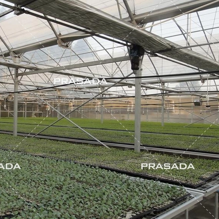 The Science Behind Light Deprivation Greenhouses: Understanding The Role of Darkness in Plant Growth