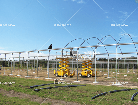Australia Multispan Vegetable Planting Farm Greenhouse