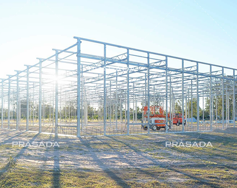 Australia-tomato-farm-in-glass-cover.png