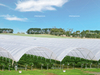 Polytunnel Greenhouse