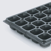 seedling tray