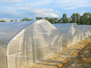 Single Tunnel Greenhouse