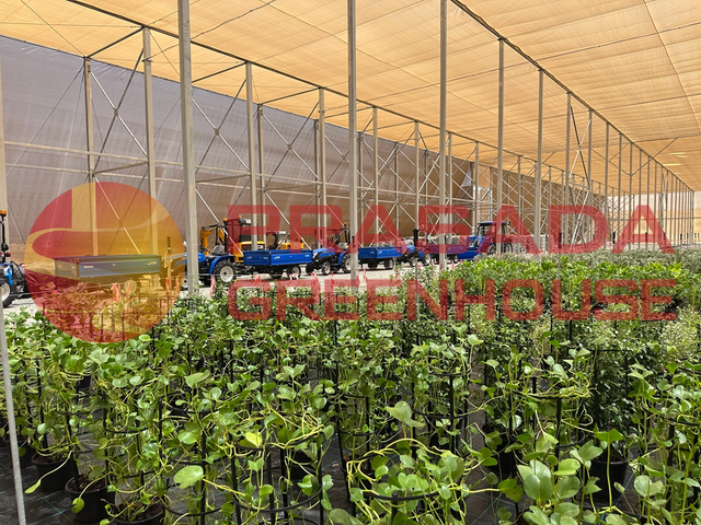 Customizable Shade House