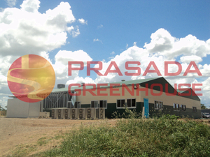 Canteen Farm House: Prefab Light Steel Canteens for Farms & Plantations