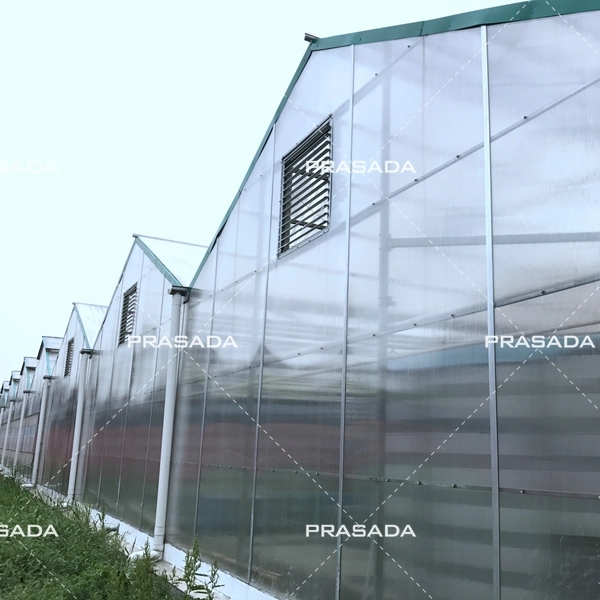 Light Deprivation Greenhouses Vs. Traditional Greenhouses: Which Is More Efficient?