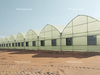 Economical Tropical Film Greenhouse