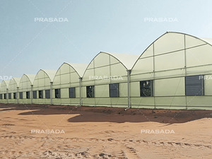 Economical Tropical Film Greenhouse