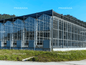 Glass Greenhouse