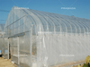 Multi Tunnel Greenhouse 