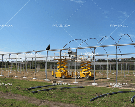 Australia-Vegetable-Greenhouse-Farm.png