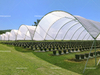 Polytunnel Greenhouse