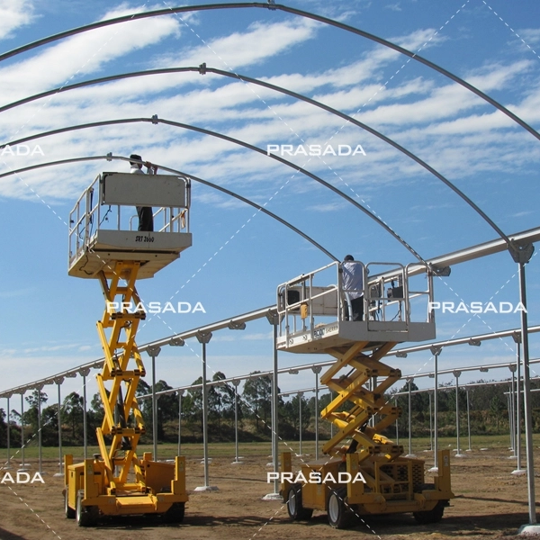 How Light Deprivation Greenhouses Enhance Crop Yield And Quality