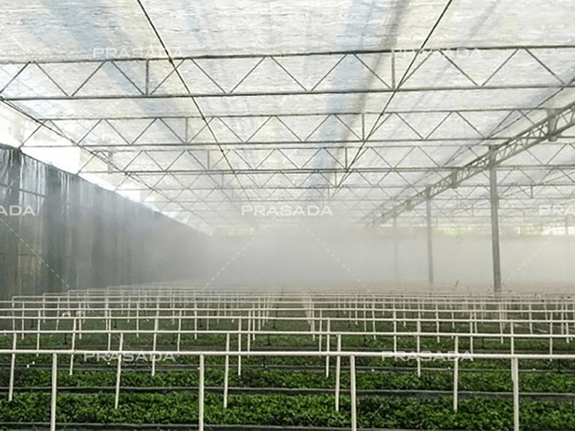 Fogging System