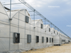 Multi-span Plastic Greenhouse