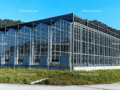 Greenhouse.png