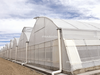 Economical Tropical Film Greenhouse