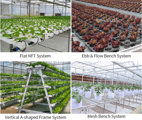 Cultivation system.jpg