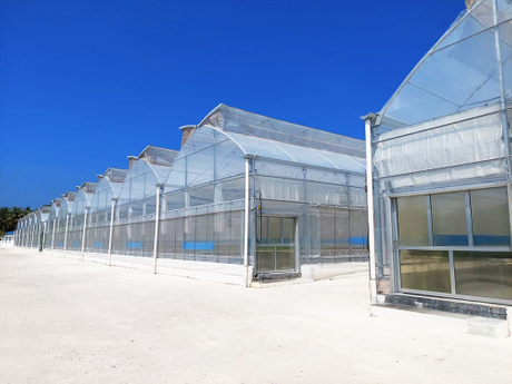 马尔代夫 (2).jpg