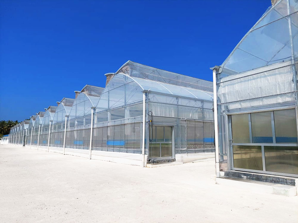 Insight 2025 Shaping 2026