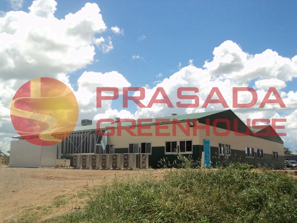 Canteen Farm house (2)