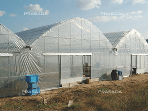 Multi Tunnel Greenhouse 