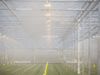 Fogging System