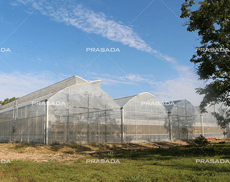 America-microgreen-farm.png