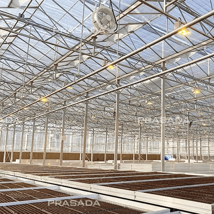 Glass Greenhouses And The Role of Natural Light in Plant Growth