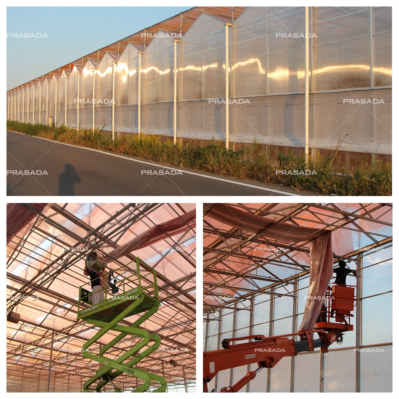 japan pc greenhouse (1)