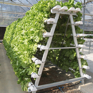 Vertical Stand System