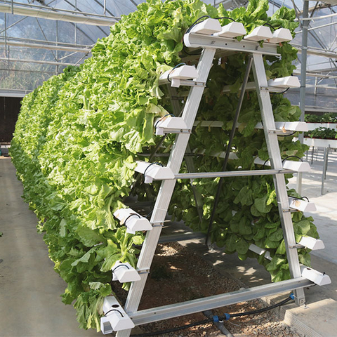 Vertical Stand System