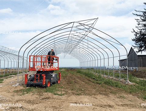 Light Tunnel Cannabis Greenhouse Farm