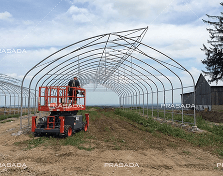 Canada-Cannabis-Planting-Tunnel.png