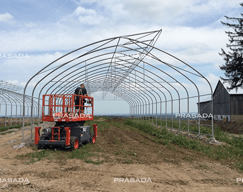 Canada-Cannabis-Planting-Tunnel.png
